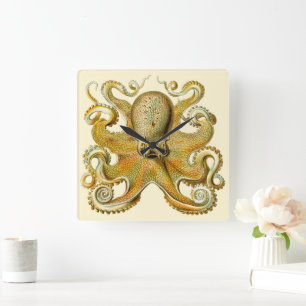 Horloge Carrée Kraken vintage, Octopus Gamochonia, Ernst Haeckel