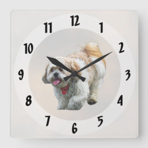 Horloge Carrée La marche de Shih Tzu