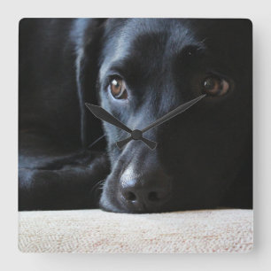 Horloge Carrée Labrador noir