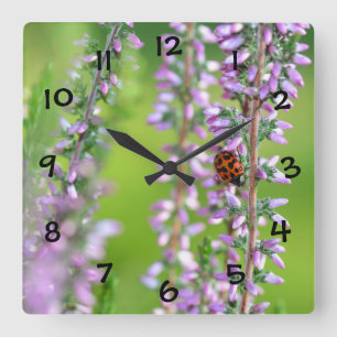 Horloge Carrée Ladybird sur les fleurs violettes 