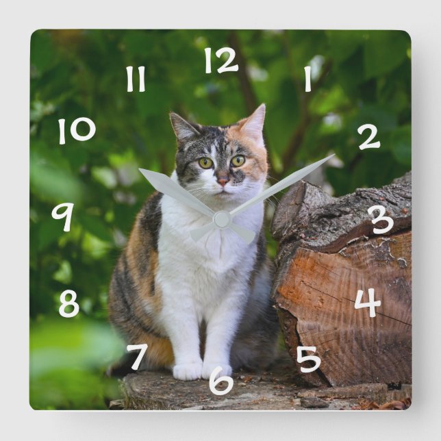 Horloge Carrée Le CHAT (Recto)
