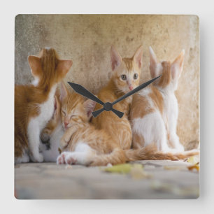 Horloge Carrée Le chaton tigré orange et blanc/ajoutent la photo