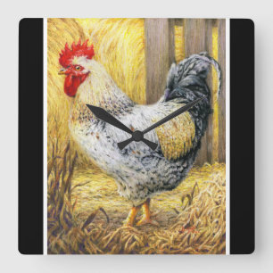 Horloge Carrée Le coq de la grange