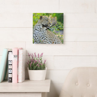 Horloge Carrée Leopard clock 