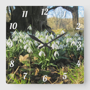 Horloge Carrée Les chutes de neige sous un arbre à if anglais -