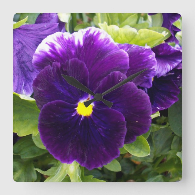 Horloge Carrée les Delights Purple Pansy, (Recto)