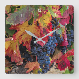 Horloge Carrée Les Grapes et les Vineyard