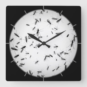 Horloge Carrée Les moustiques