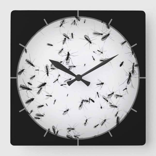 Horloge Carrée Les moustiques (Recto)