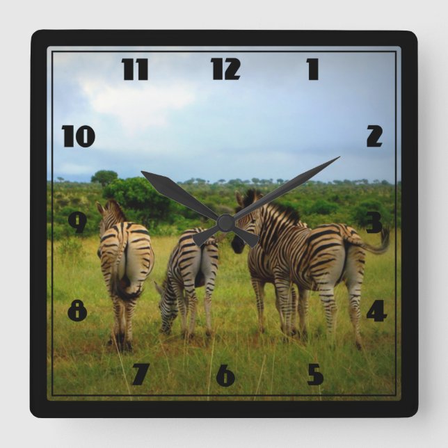 Horloge Carrée Les zèbres africains dans un cadre naturel (Recto)