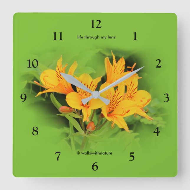 Horloge Carrée Lily of the Incas (Recto)