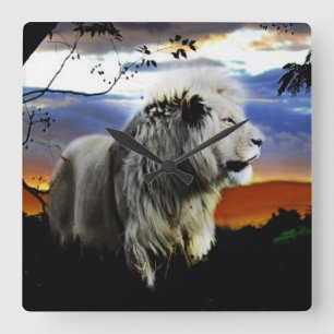 Horloge Carrée Lion de l'Afrique du Sud dans la jungle