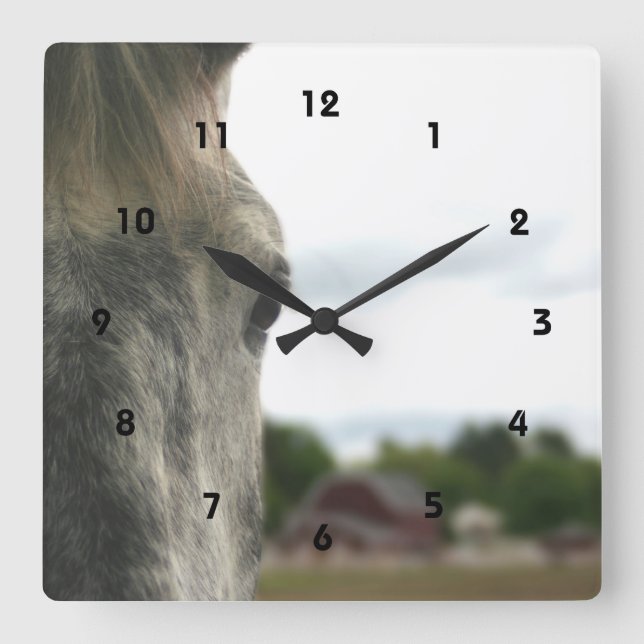 Horloge Carrée L'Oeil D'Un Animal Cheval (Recto)