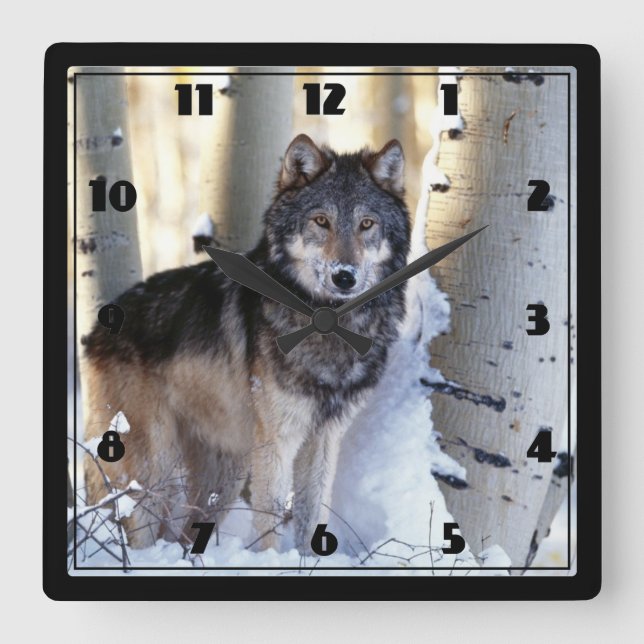 Horloge Carrée Loup (Recto)