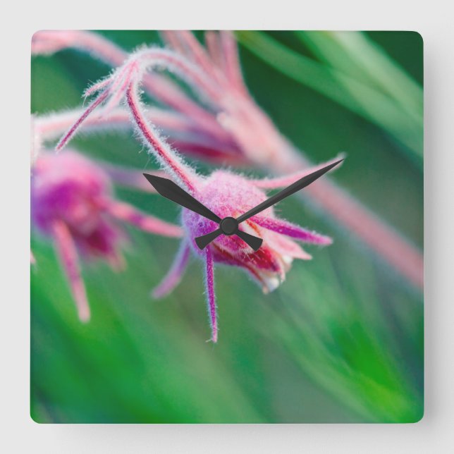 Horloge Carrée Macro photo of prairie flowers dans le Montana (Recto)