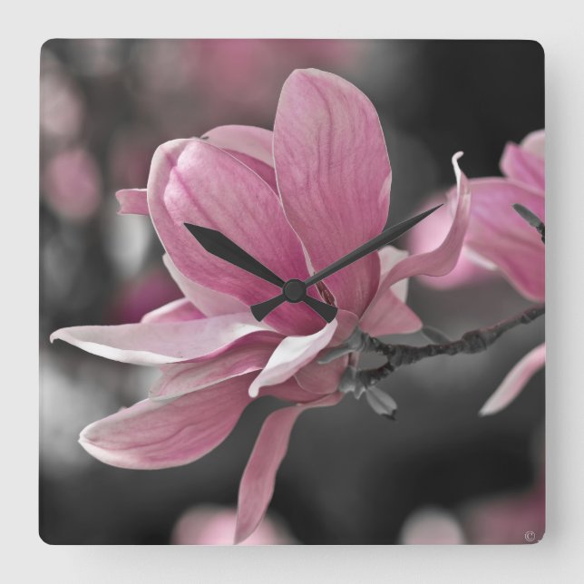Horloge Carrée Magnolia (Recto)