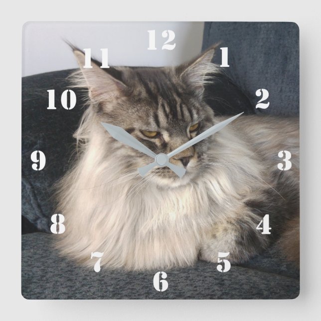 Horloge Carrée Maine Coon (Recto)