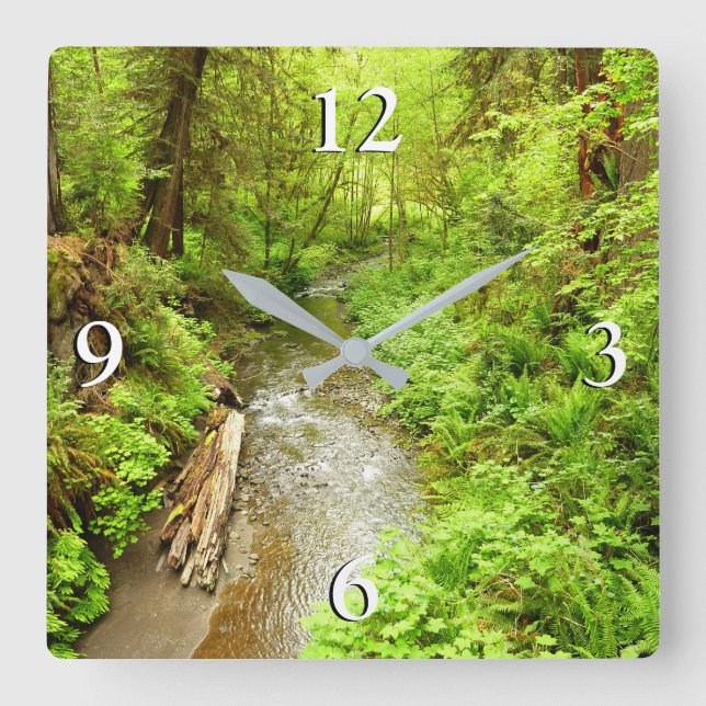 Horloge Carrée Man Creek II perdu dans le parc national Redwood (Recto)
