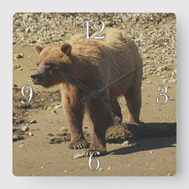 Horloge Carrée Marcher Grizzly sauvage Ours faune Photo 2 (Recto)