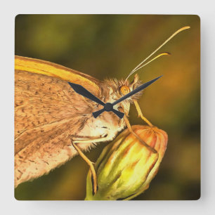 Horloge Carrée Meadow Brown Beau Papillon Art