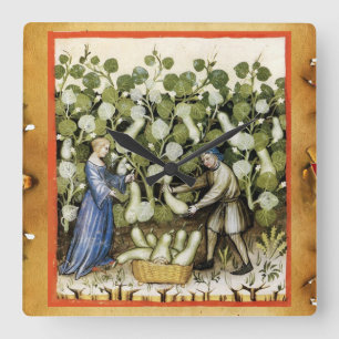 HORLOGE CARRÉE MEDIEVAL SQUASH HARVEST PARCHMENT SQUASHES