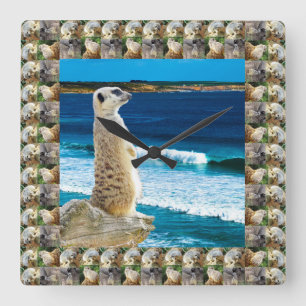 Horloge Carrée Meerkat Sentry Surveille Les Poissons À La Plage,