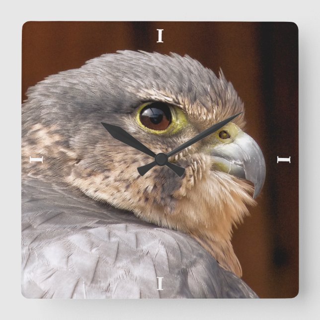 HORLOGE CARRÉE MERLIN FALCON OISEAU DE PREY (Recto)