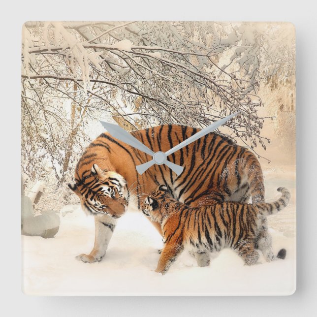 Horloge Carrée Mignonne Mère Tigre avec bébé en neige (Recto)