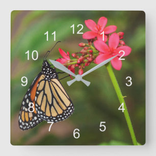 Horloge Carrée Monarque sur les fleurs de Penta