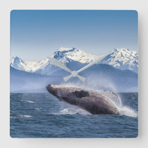 Horloge Carrée Montagnes Baleines en route Glacier Bay, Alaska
