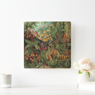 Horloge Carrée Muscinae vintage, plantes de mousse par Ernst Haec