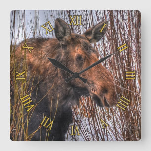 Horloge Carrée Oie canadienne sauvage en neige d'hiver I