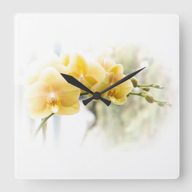 Horloge Carrée Orchidée de mite jaune en soleil (Recto)