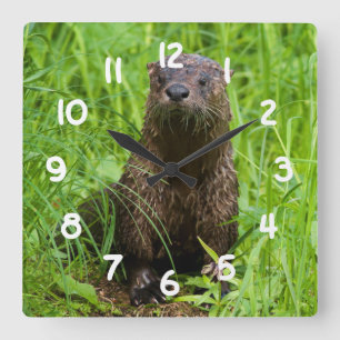 Horloge Carrée Otter