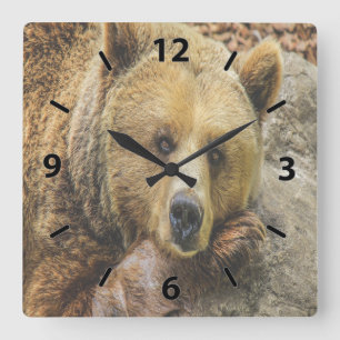 Horloge Carrée Ours Brown sauvage