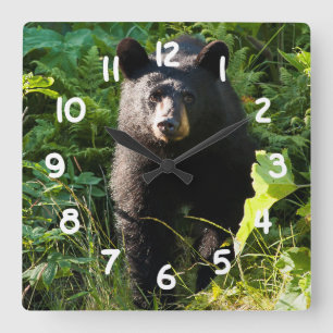 Horloge Carrée Ours noir curieux