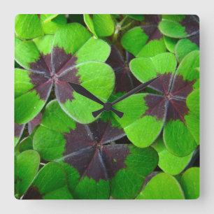 Horloge Carrée Oxalis Feuille - Rouge et vert