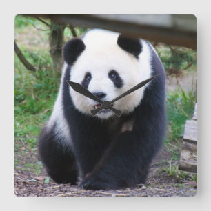 Horloge Carrée Panda_20190301_by_JAMFoto