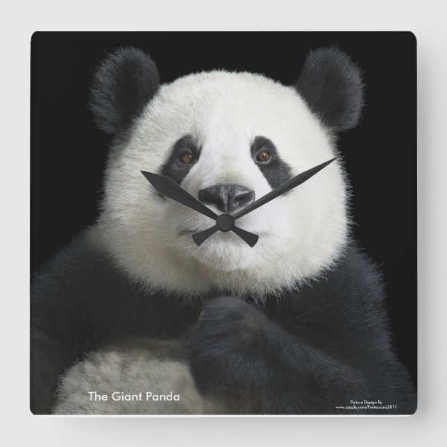 Horloge Carrée Panda Image for Square Wall Clock (Recto)