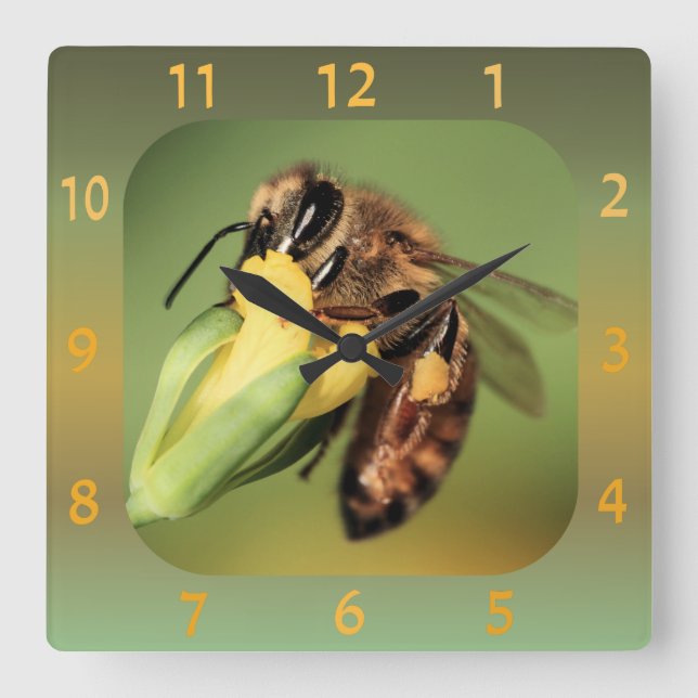 Horloge Carrée Panier de pollen d'abeilles sur fleurs jaunes (Recto)