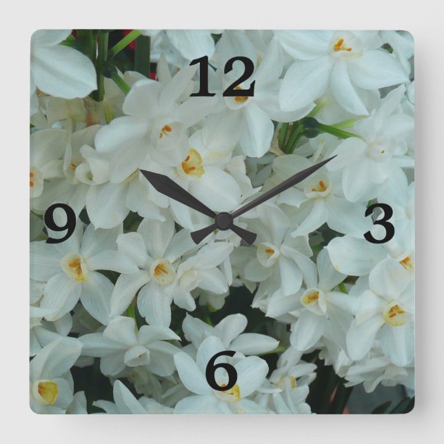Horloge Carrée Paperwhite Narcissus Fleurs blanches délicates (Recto)