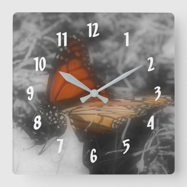 Horloge Carrée Papillon Monarque En Nature Noire Et Blanche (Recto)