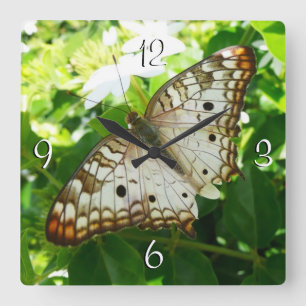 Horloge Carrée Papillon sur Jasmin Photographie de la nature trop