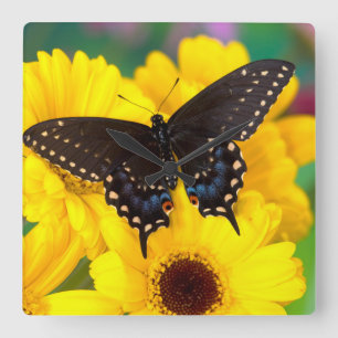 Horloge Carrée Papillon swallowtail noir