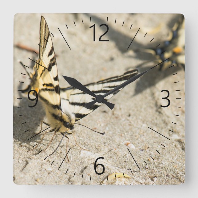 Horloge Carrée Papillons (Recto)