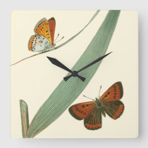Horloge Carrée Papillons colorés flottant autour d'une feuille