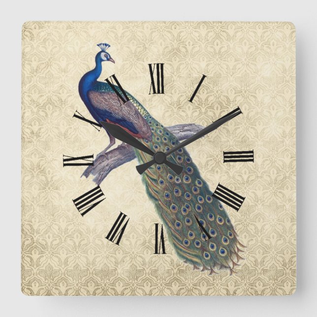 Horloge Carrée Peacock sur Elegant Ivory Damask (Recto)