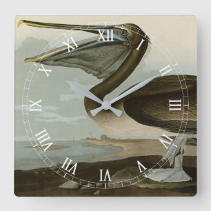 Horloge Carrée Pélican Brown d'Audubon's Birds of America