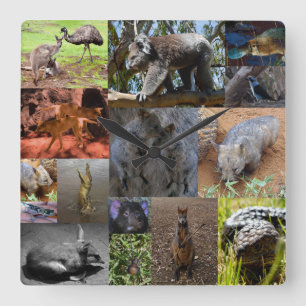 Horloge Carrée Photo australian Animals Collage, Wall Clock