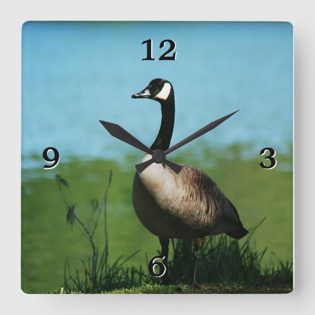 Horloge Carrée Photo de Canadian Geese (Recto)